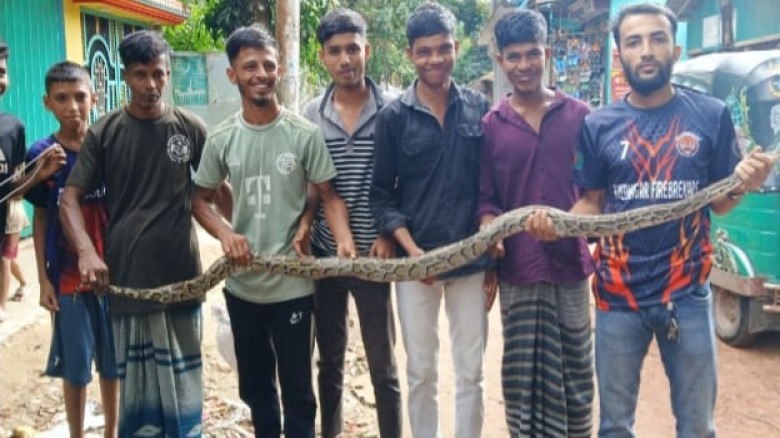 বোয়ালখালীতে ২ মাসে ৭টি অজগরসহ শতাতিক সাপ উদ্ধার