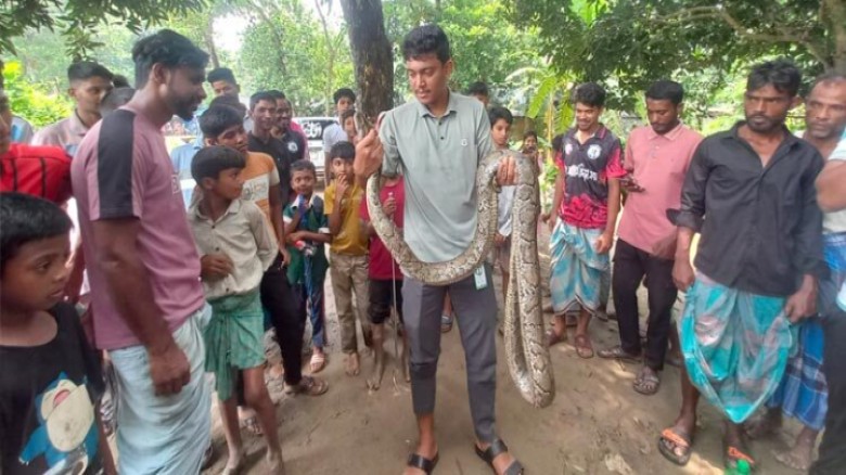 লোকালয়ে চলে আসা ১২ ফুট দৈর্ঘ্যের অজগর সাপ উদ্ধার