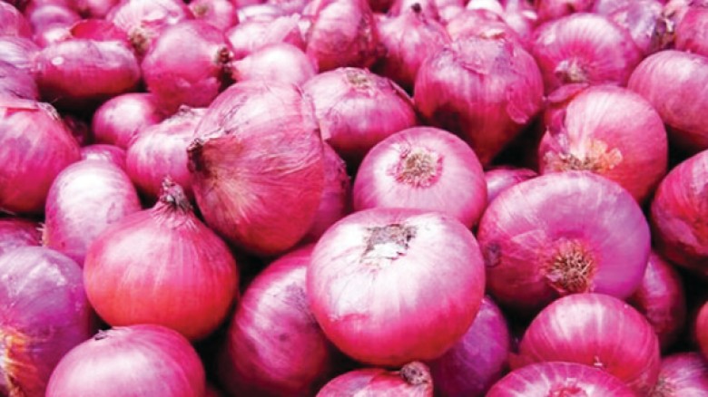 পেঁয়াজের বিপুল সরবরাহ কমছে দাম