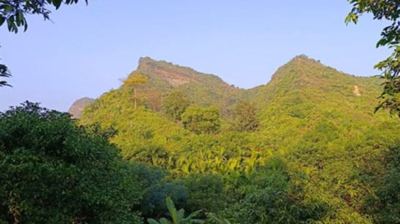 টেকনাফে বাড়ি থেকে ডেকে নিয়ে যাওয়া প্রবাসীর লাশ মিলল পাহাড়ে