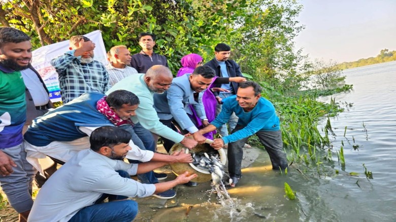 হাটহাজারীতে হালদা নদীতে ২৫০ কেজি কার্পজাতীয় মাছের পোনা অবমুক