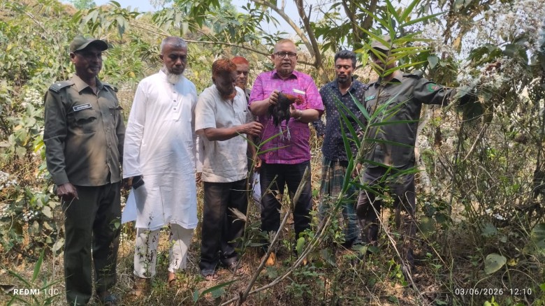 গুইমারায় বন্য মোরগ অবমুক্ত করলো রেঞ্জ কর্মকর্তা