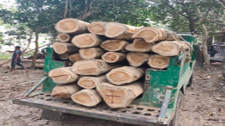 হাটহাজারীতে ৩ লাখ টাকার সেগুন ও আকাশমণি কাঠ জব্দ