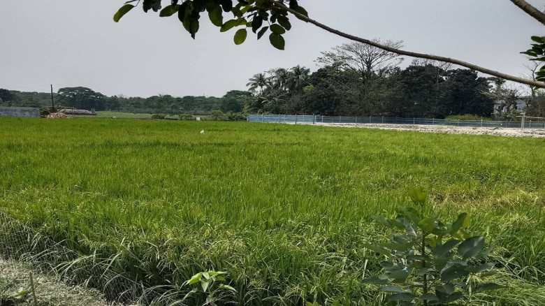 ডিজেল সংকটে বোয়ালখালীতে ফসল নিয়ে শঙ্কায় কৃষকেরা