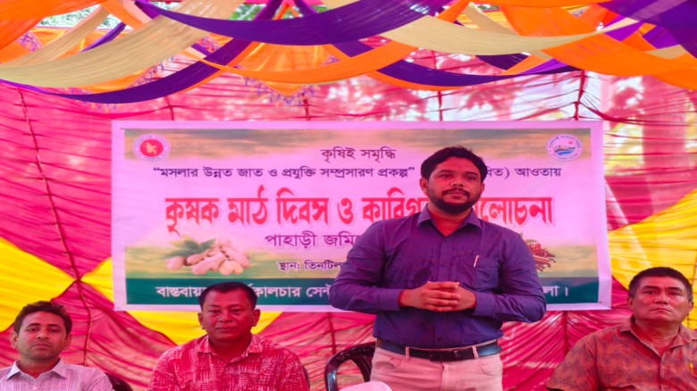 লংগদু ঢালু জমিতে মসলার সুবাস, সুদিন ফিরছে লংগদুর কৃষকদের