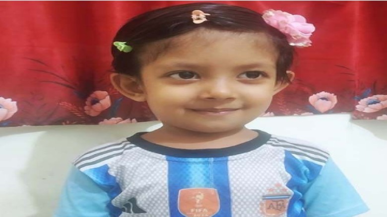 ভিমরুলের কামড়ে আহত শিশুর মৃত্যু