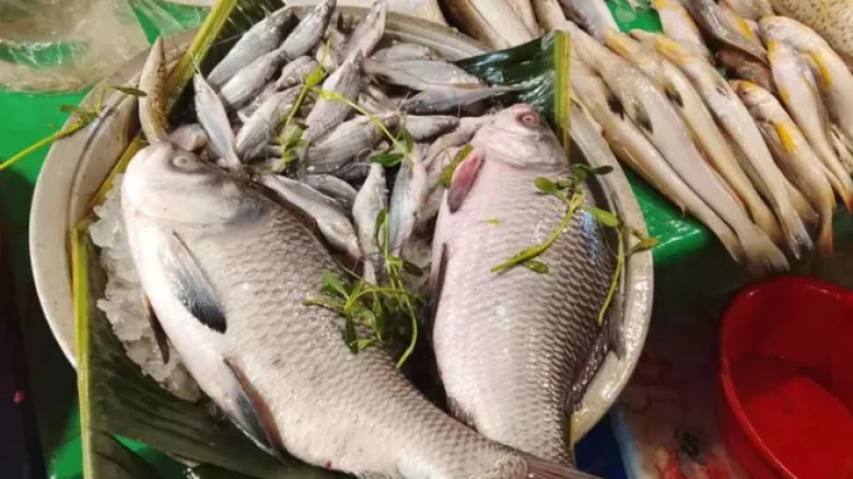 চট্টগ্রামে মিঠা পানির মাছের বাজারে আগুন, সরবরাহ নেমেছে অর্ধে