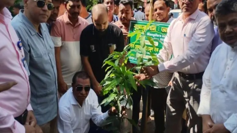 বিগত ১৭ বছরে দেশের শিক্ষাব্যবস্থা ধ্বংস করা হয়েছিল: এনামুল হ