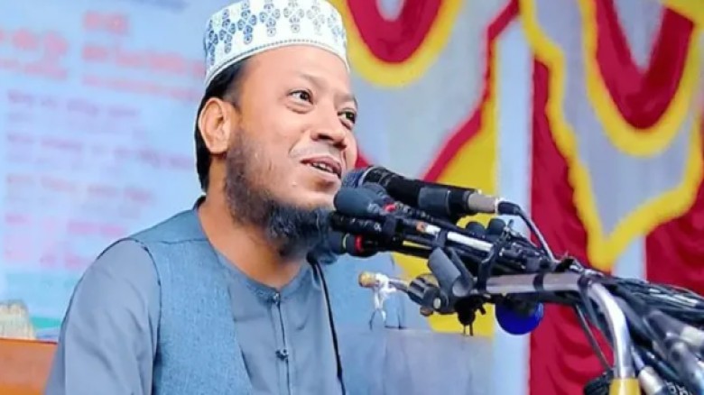 সাড়ে ছয় মাসে কোনো দুর্নীতি করিনি: আমির হামজা