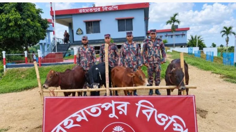 ফটিকছড়ি-মিরসরাই সীমান্তে বিজিবির অভিযান, ৬ ভারতীয় গরু আটক