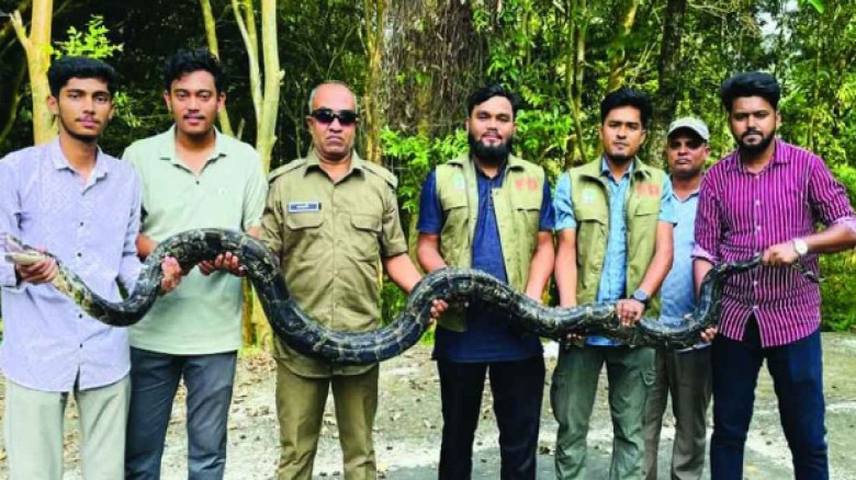 মিরসরাইয়ে ১২ ফুট দৈর্ঘ্যের অজগর উদ্ধার, ইকোপার্কে অবমুক্ত