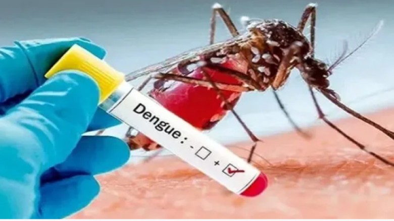 ডেঙ্গুতে দেশে ৫ জনের মৃত্যু, চট্টগ্রাম বিভাগে হাসপাতালে ভর্তি ২৩২...